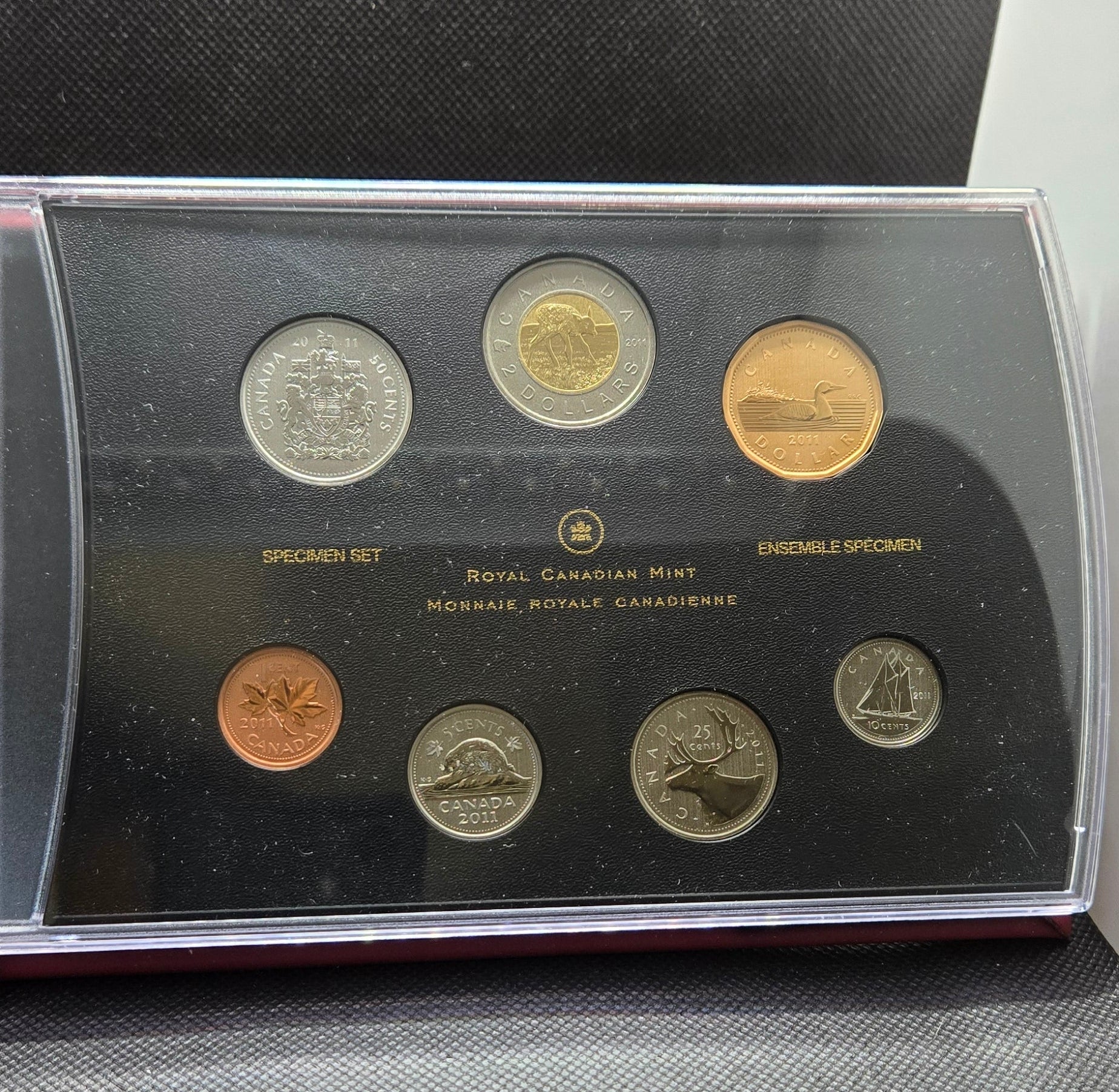 2011 Canada Specimen Set – Young Wildlife: Elk