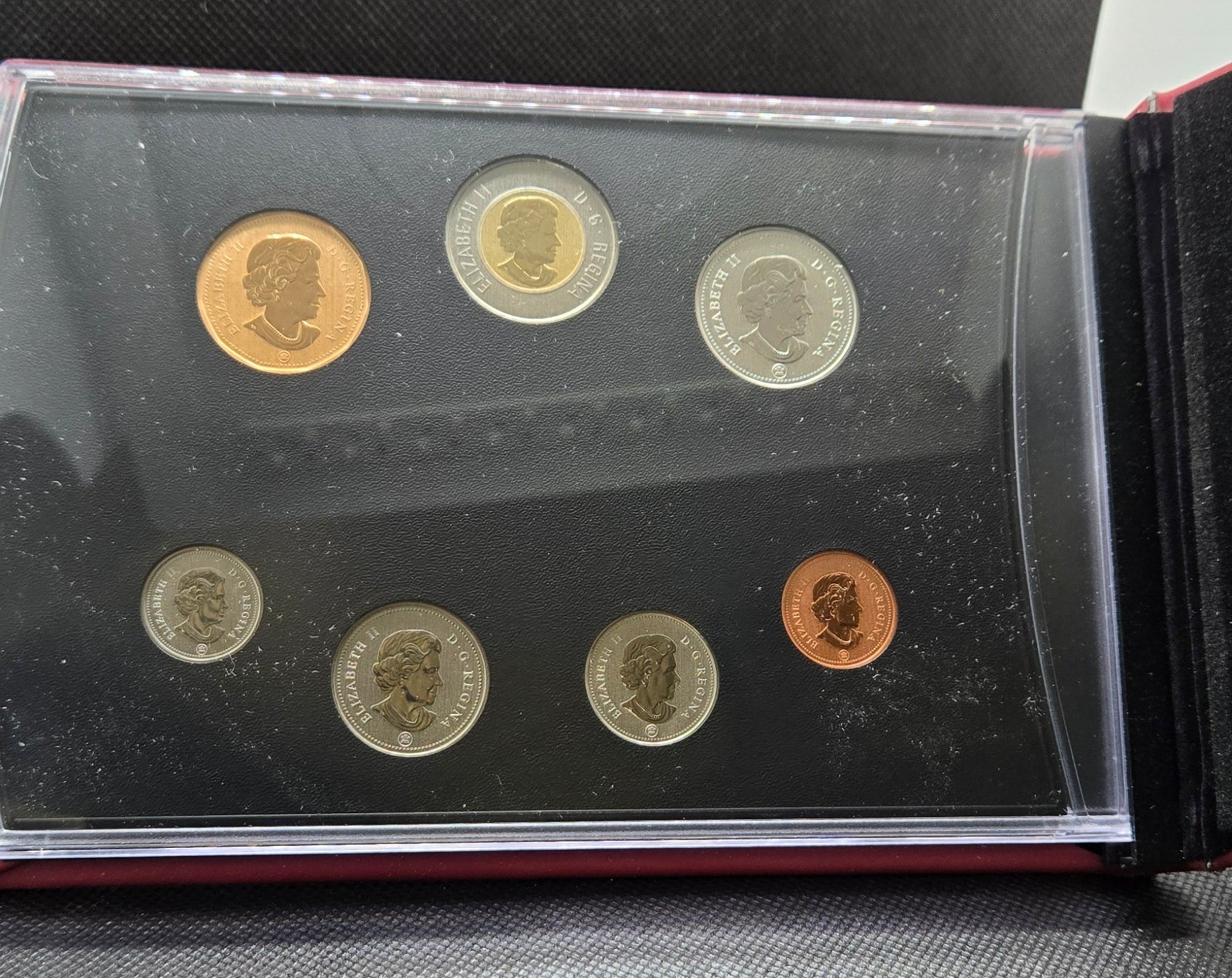 2011 Canada Specimen Set – Young Wildlife: Elk